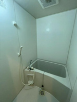 参考写真