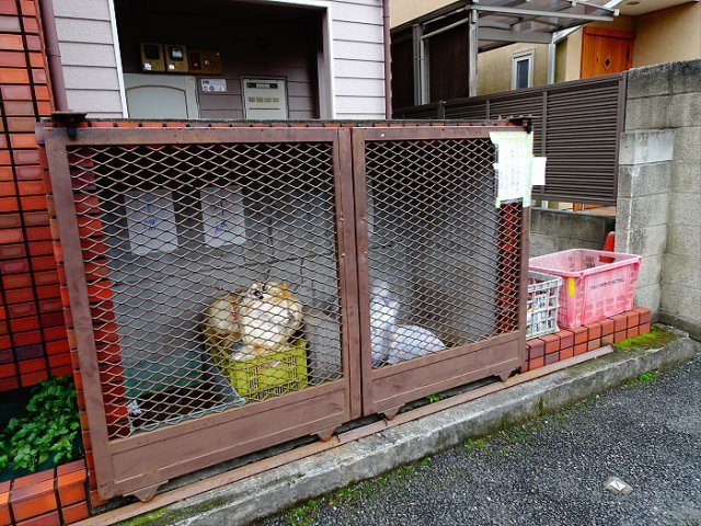 ガウディ9のその他共用部分