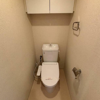 パークアクシス豊洲のトイレ|落ち着いた色調のトイレです