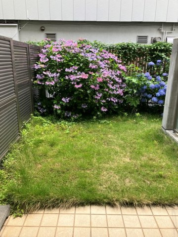 ジークレフ石神井公園の庭|お庭も活用できます