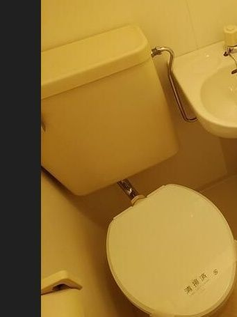 グリーンプラザ東あずまのトイレ