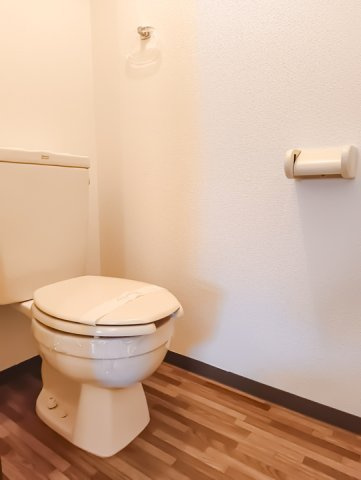 ルミエール二番館のトイレ|トイレです