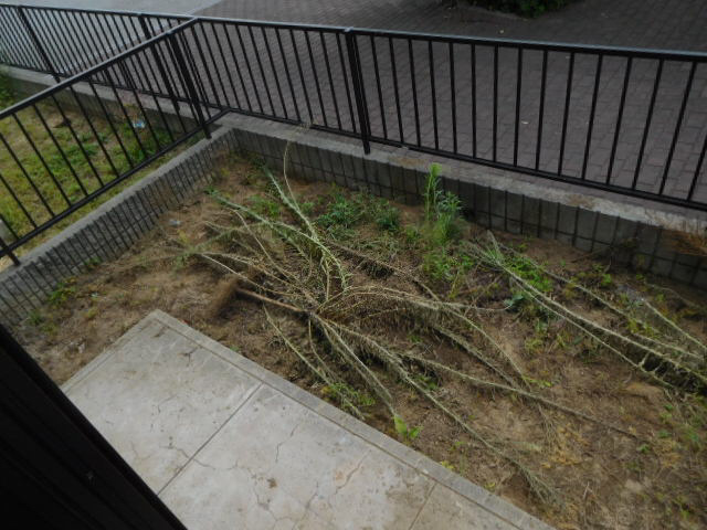 サンパセオ山水　II棟のバルコニー