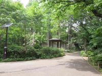 都立林試の森公園北門まで628m
