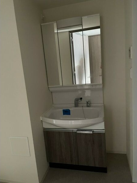 プレサンスTHE新栄の洗面所