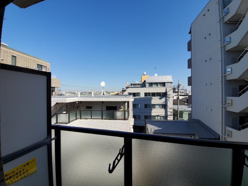 ライオンズプラザ上野毛の展望