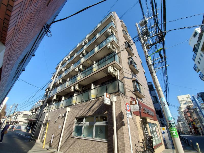 ライオンズプラザ上野毛の外観