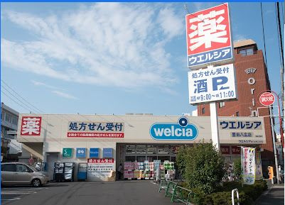 レピュア東向島の周辺
