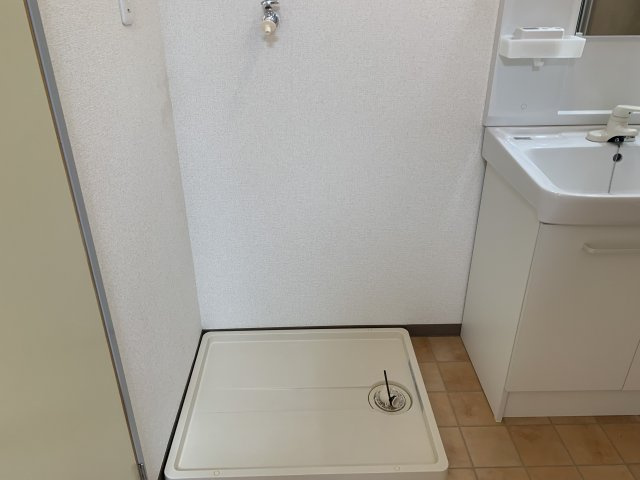 ニューシティ寿の洗面所