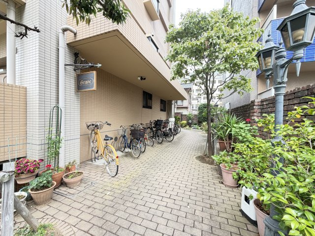 ＧＲＯＶＥのその他