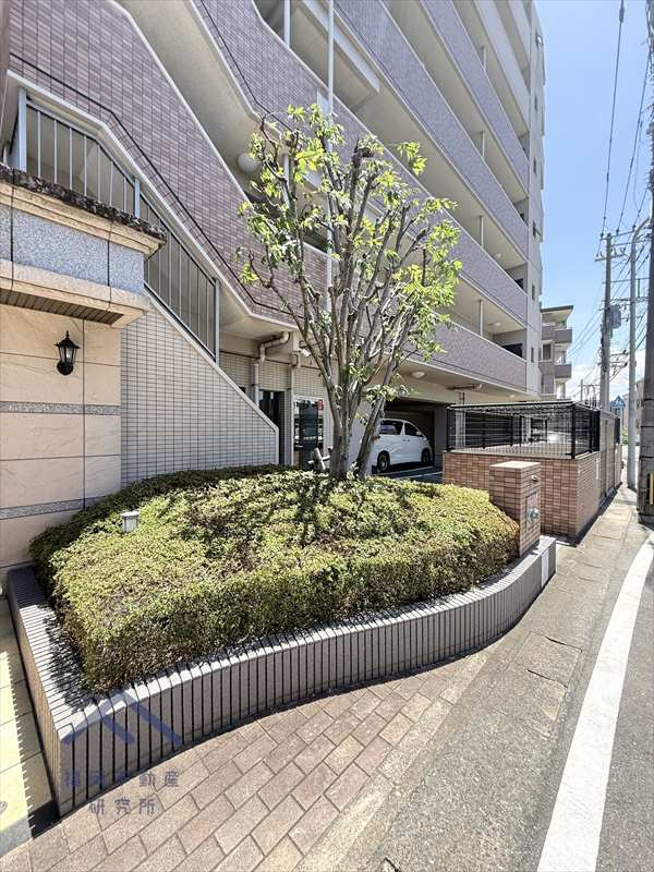 パレスト藤崎南の庭