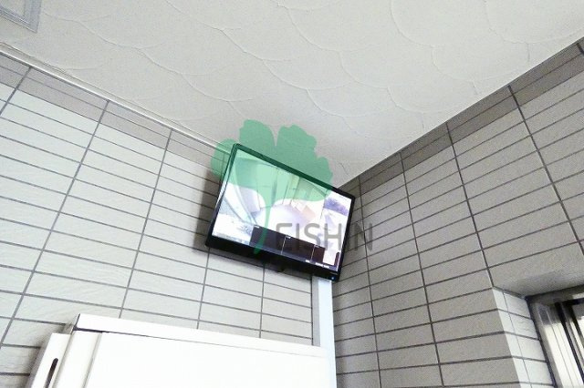 トゥリートップ