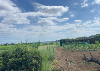 【展望】 | 上依知中古戸建 | 田園風景が味わえる土地に住みたい！海や山の見える自然豊かな土地に住みたい！などご要望に併せて当社営業がご提案させて頂きます。当社が抱えている数ある物件の中からお客様が納得する1件を一緒に探しましょう！