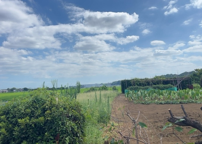 【展望】 | 上依知中古戸建 | 田園風景が味わえる土地に住みたい！海や山の見える自然豊かな土地に住みたい！などご要望に併せて当社営業がご提案させて頂きます。当社が抱えている数ある物件の中からお客様が納得する1件を一緒に探しましょう！