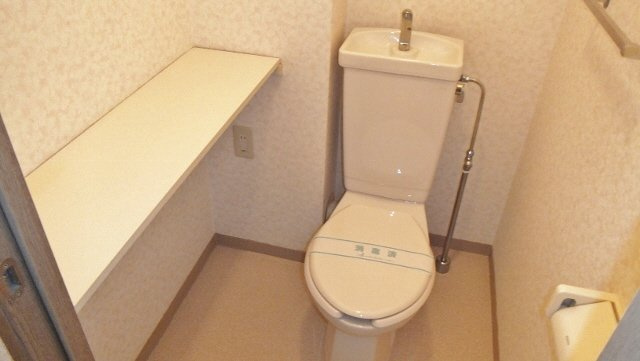 パレスオオハクのトイレ|トイレ横・上部に棚があります