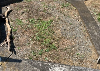【外観】 | 小比企町売地 | 人が暮らすうえで日光は大切な要素となります。日当たりの良さは譲れないポイントですね。併せて近くに大きな建築物の建築予定がないか、あるいはそれが可能な土地が近くにないか事前に確認することもお勧めします。