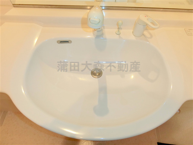 ライフレビュー多摩川の洗面所