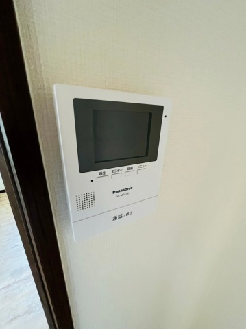ドフラミンゴのセキュリティ