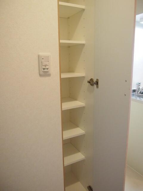 ルーブル三軒茶屋参番館の収納|収納スペースです