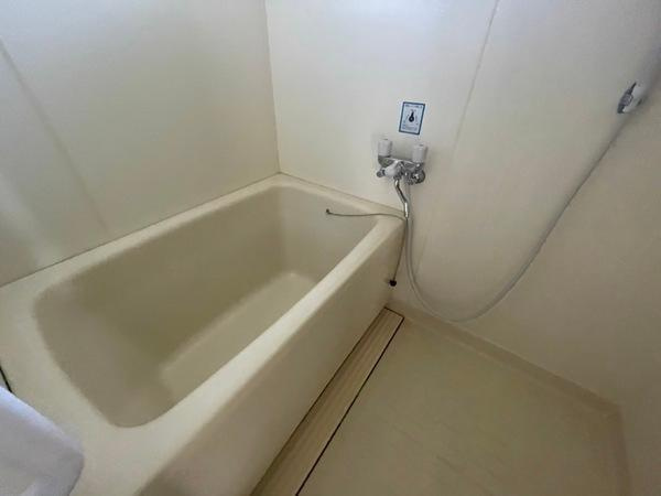 シャトードイワネN号館の浴室