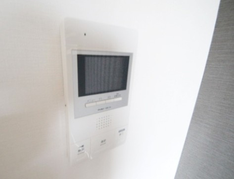 Luciaのセキュリティ|※同建物別部屋参考写真