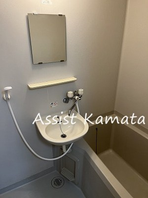 ハイム田園調布の洗面所
