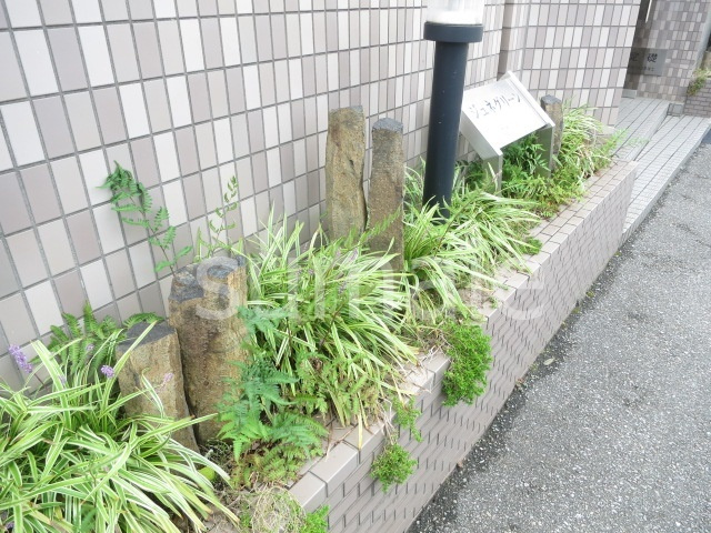 ジュネグリーンのその他|綺麗に手入れされた植栽です♪