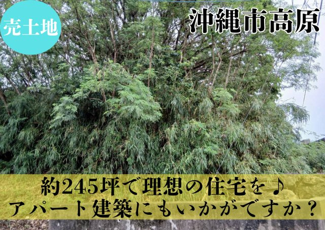 沖縄市高原四丁目