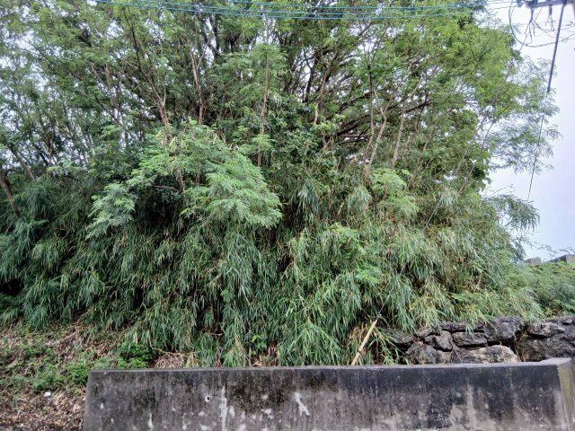 沖縄市高原四丁目の周辺