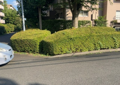 【庭】 | パークサイド南大沢１号棟 | １階住戸ならではの魅力である２５．００平米の広々とした南庭（月額５５０円）です。ガーデニングやお子様のちょっとした遊び場として多目的に活用できます。日当たりも良く、緑のある暮らしを満喫できます。