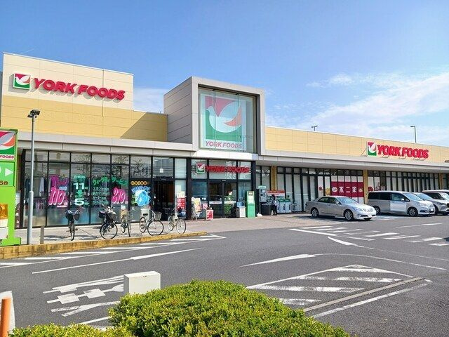 ラディッシュⅣのその他