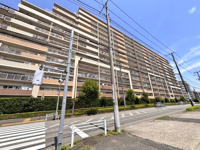 ルネグランディアの画像