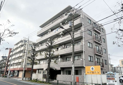 ドムール江古田