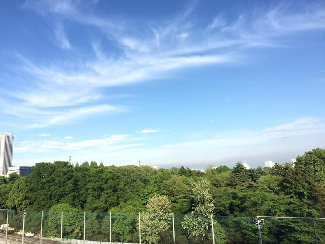 シャトレー新宿御苑１の展望