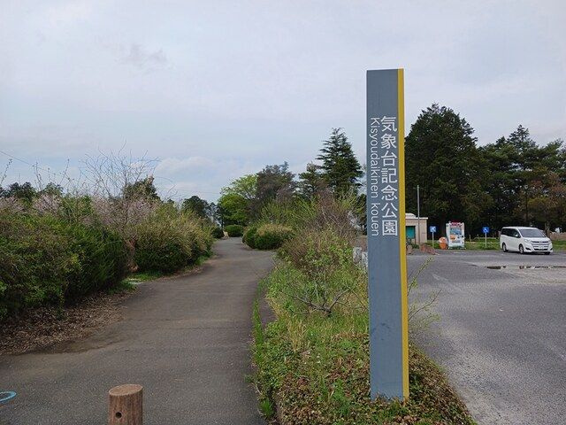 ストロベリーカーサⅠのその他