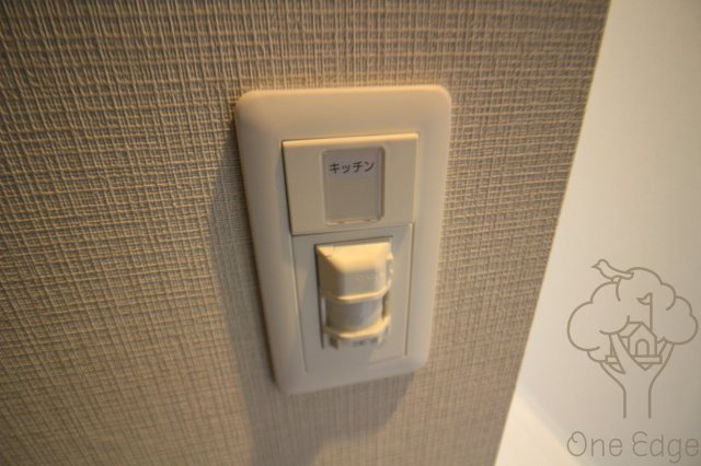 イルリッシュ西中島の玄関