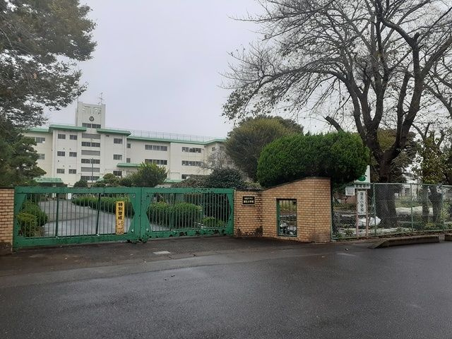 フェリーチェＢのその他