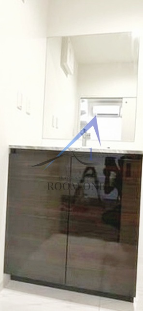 Ｒｅｓｉｄｅｎｃｅ　Ｃａｒｉｔａｓ　Ｄａｉｋａｎｙａｍａの洗面所|洗面台です。