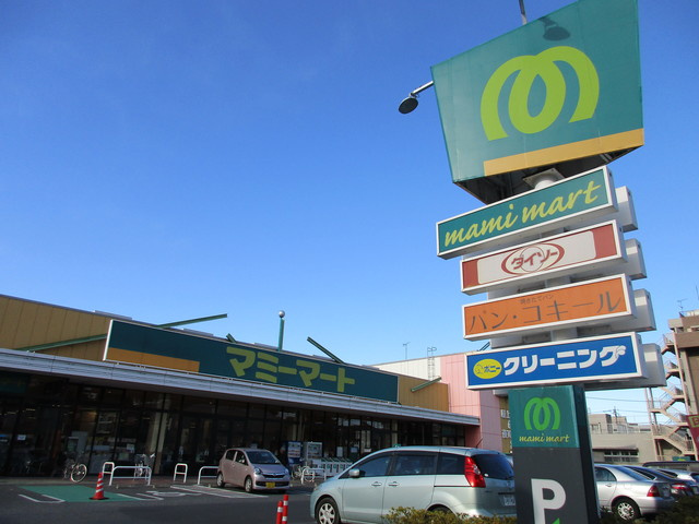 メゾンＳＨＩＺＵ　のその他|マミーマート柏若葉町店