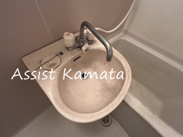 ライフ大勝Ⅲの洗面所