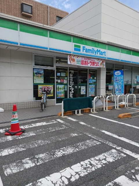 ミーアシャムのその他