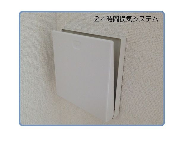 ミーアシャムのその他