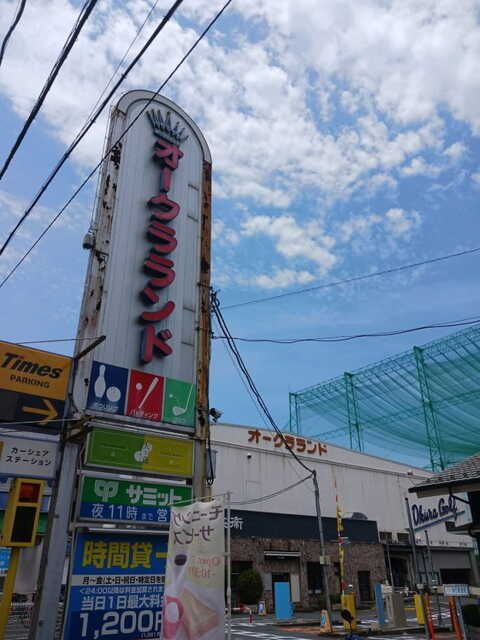 ミーアシャムのその他