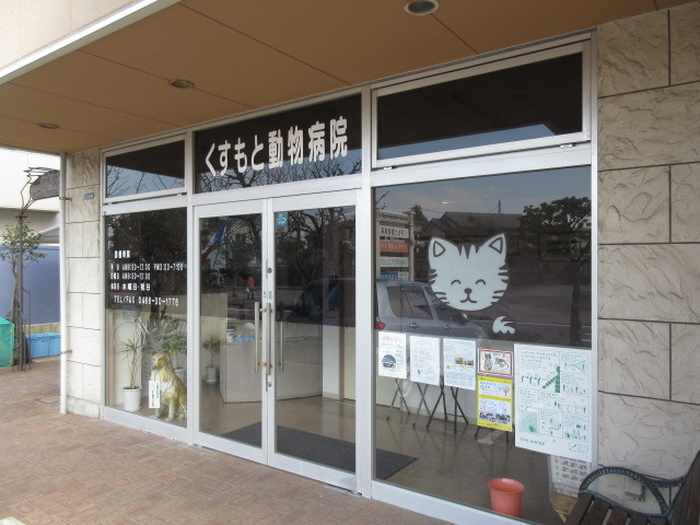 レイナニのその他|くすもと動物病院