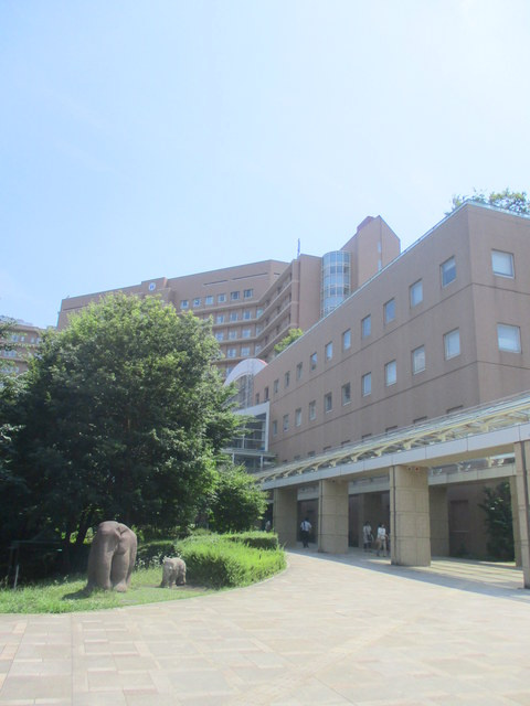 シティハイム　メモリーのその他|国立成育医療研究センター病院
