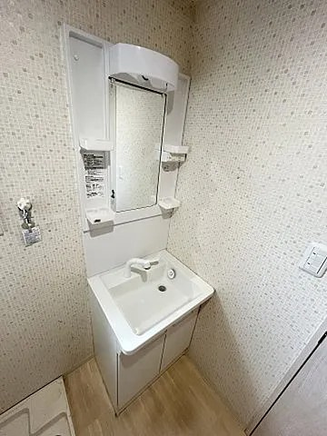 ミヤケンパレスⅡの洗面所