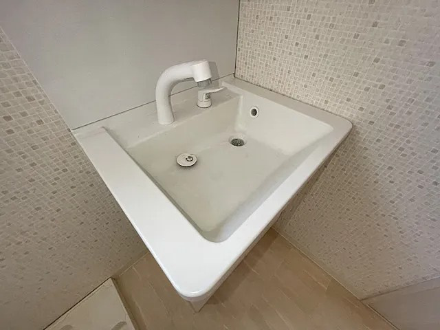 ミヤケンパレスⅡの洗面所