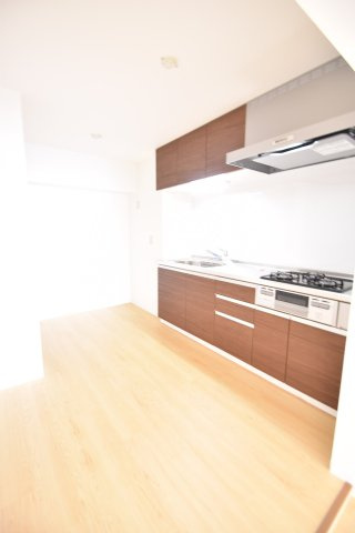 大阪市城東区中央１丁目の賃貸マンションのキッチン