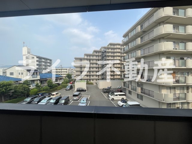 吉鴻ハイネス3の展望