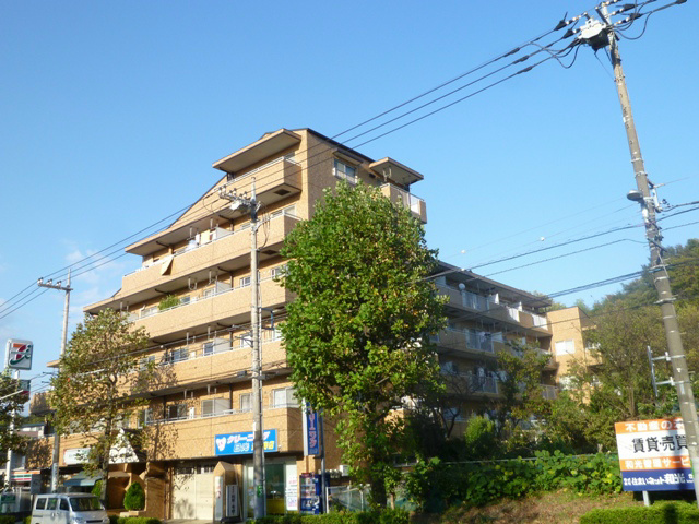 写真は203号室のものです。ペットの頭数や種類は相談下さい♪
